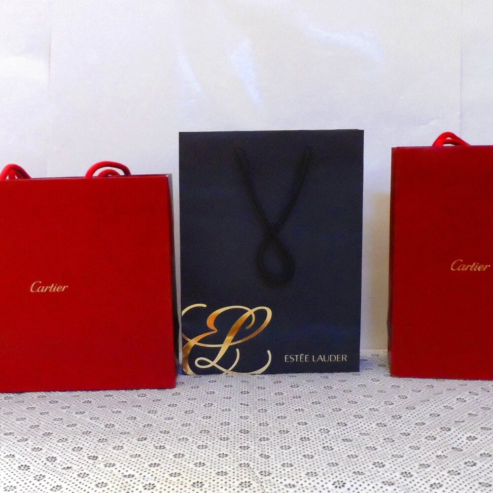 3 Designer shopping bags *empty -$15 NEW